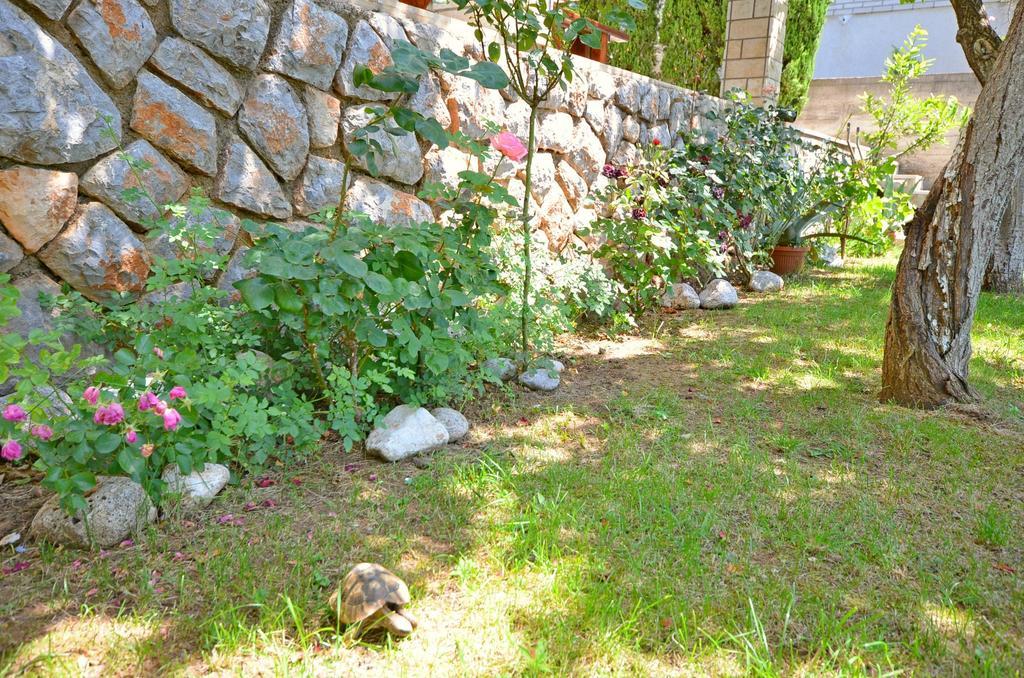 Apartments Ivanka Senj (Lika-Senj) Exterior foto
